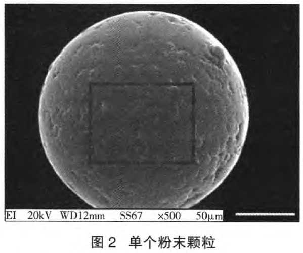 1668849321448233.jpg s2.jpg